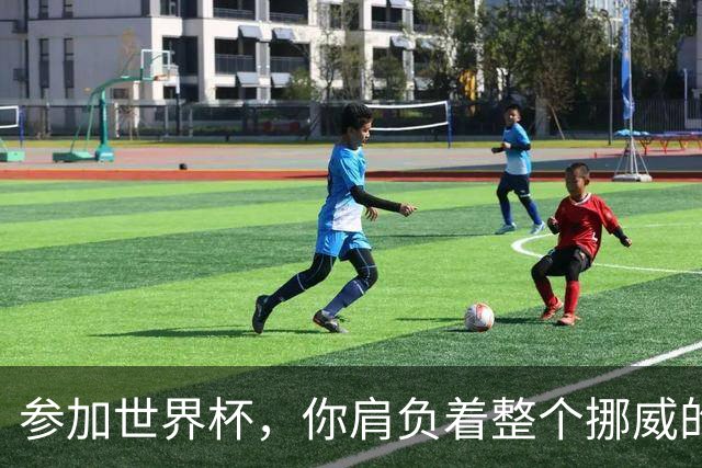 参加世界杯，你肩负着整个挪威的期望！哈兰德：我喜欢这样