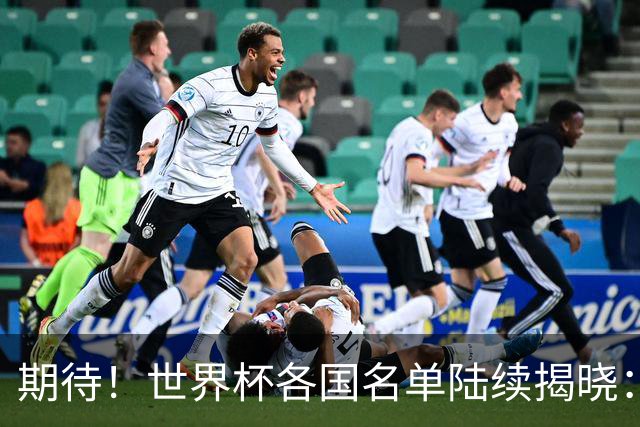 期待！世界杯各国名单陆续揭晓：至少7名现役或前中超外援入围