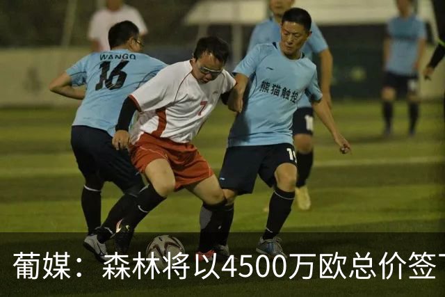 葡媒：森林将以4500万欧总价签下迪奥曼德，葡体保留10%二转分成